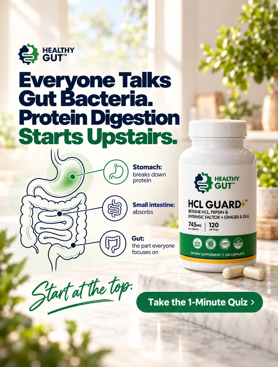 Static ad for HealthyGut explaining where protein digestion begins