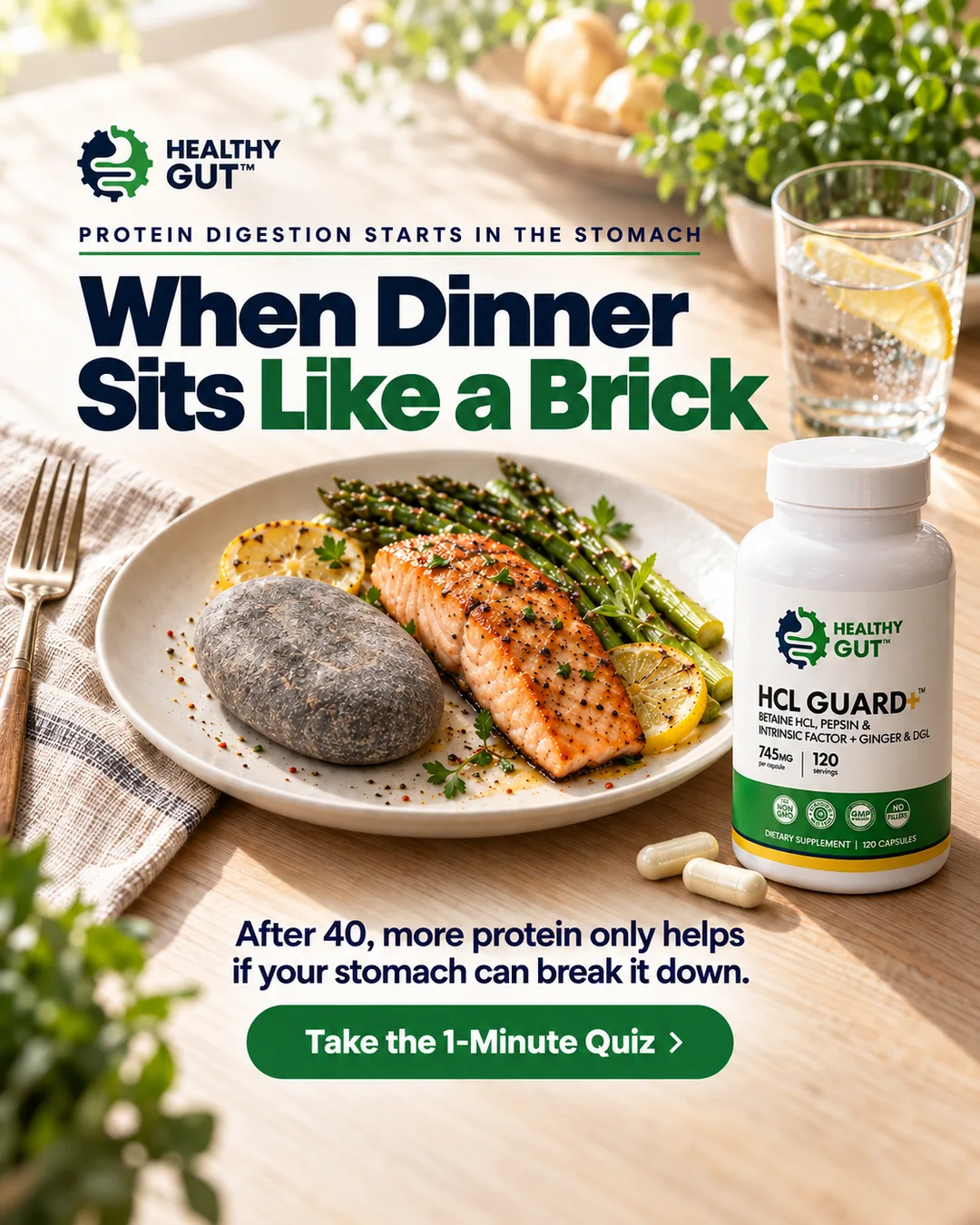 HealthyGut Meta ad